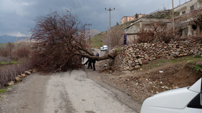 Batman fırtınaya teslim oldu!