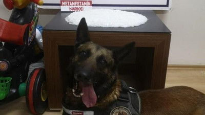 Uyuşturucu zulası polisi şok etti