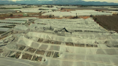 Antalya'yı vuran hortumun zararı böyle görüntülendi