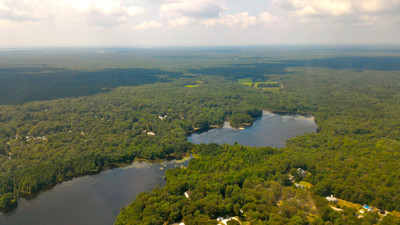 Zeytinliklerin ardından bir alan daha ranta açılıyor