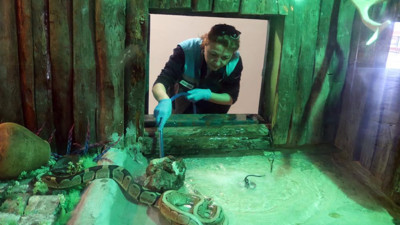 Kayserili Sevda ekmek parasını yılanlardan çıkarıyor