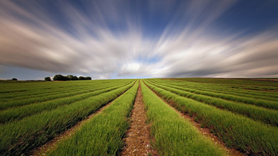 Üretim için destek isteyen ziraatçılardan itiraf gibi açıklama