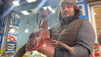 Tam tamına 800 lira. Ender rastlanan türler arasında