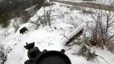 Yiyecek arayan tilkiyi yemeğe davet etti