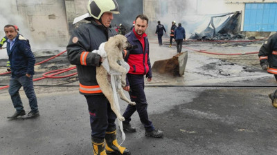 Kahraman itfaiyeci alevlerin arasına dalıp kurtardı