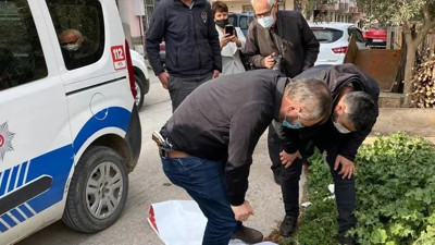 Turgutlu’nun seri kedi katili yine ortaya çıktı