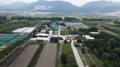 Çevrecilerden Volkswagen arazisi için talep