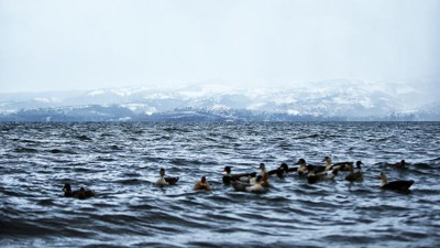 Sapanca Gölü'nde su seviyesi son 7 yılın zirvesinde