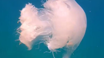 Uzmanlardan uyarı geldi. Akdeniz sahilleriyle ilgili korkutan açıklama