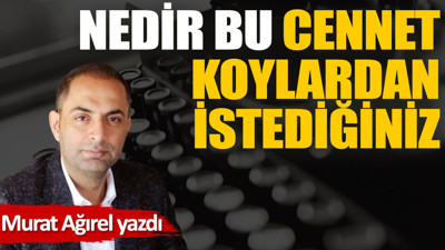 Nedir bu cennet koylardan istediğiniz