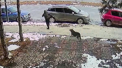 Köpekten kaçarken otomobilin çarptığı Baran'ın sağlık durumunda son gelişme