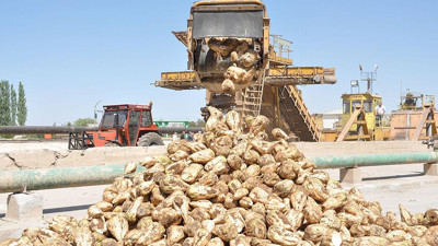 Şeker kotaları belli oldu