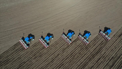 Akılları başlarına geldi