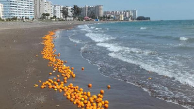 Mersin'de binlerce portakal sahile vurdu. Görenler şok oldu