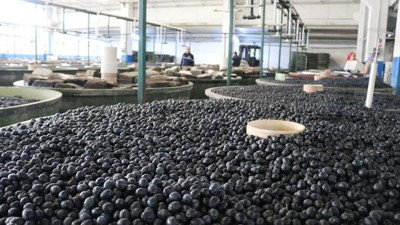 Marmarabirlik 918 milyon lira ciro açıkladı