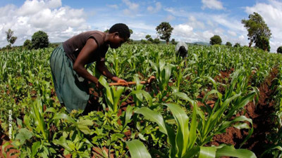 Aytun Çıray açıkladı: 'Sudan' tarım projesine her imkan sağlanmış