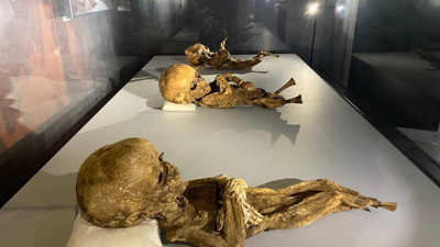 Mısır'da değil Türkiye'de Görenler şaşkına döndü