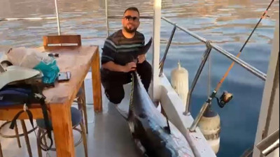Antalya'da çıkmayan balığı yakaladılar