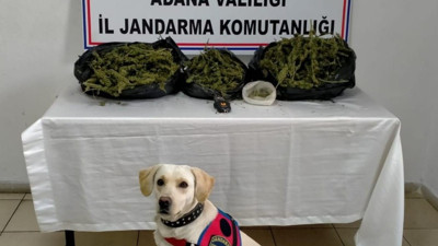 Adana'da uyuşturucu operasyonlarında 2 şüpheli gözaltına alındı