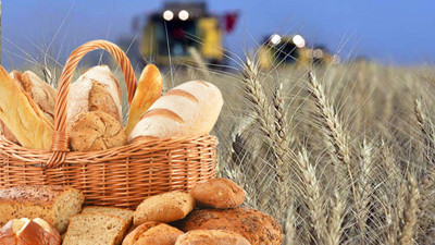 Böyle giderse yiyecek ekmeği bile zor buluruz! Toprak Mahsulleri Ofisi açıkladı, buğdaya rekor zam geldi