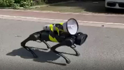 Robot köpek şaşkına çevirdi