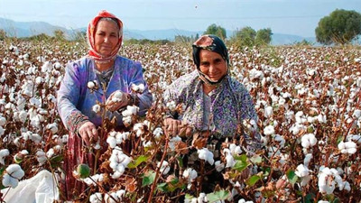 Eyvah eyvah bir üründe daha kıtlık zilleri çalıyor