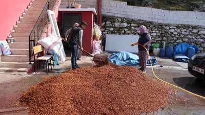 Künarın fiyatı altınla yarışıyor kabuğu bile satılıyor