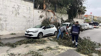 Fırtına İzmir'i vurdu ağaçlar otomobillerin üzerine yıkıldı