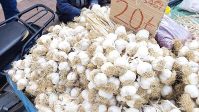 Osmaniye Belediyesi sarımsak satan adamın tartısına el koyunca yaşlı adam hüngür hüngür ağladı. Vicdansız belediye bu yaşlı adamı ağlattın ya