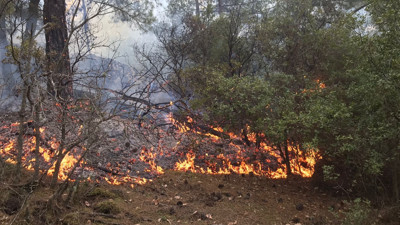 Karpuzlu'da orman yangını