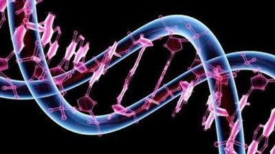 Bilim insanları ilk kez tam insan genomunu sıraladı