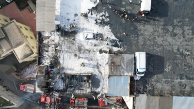 Sigara 250 güvercini öldürdü