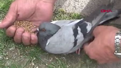 İtfaiyeden güvercin kurtarma operasyonu