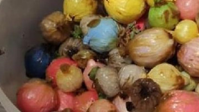 Ölen adamın midesinden çıkanlar şok etti