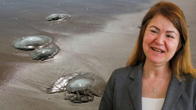 Prof. Dr. Korun denizanası kabusunun biteceği tarihi açıkladı! Sakın dokunmayın…