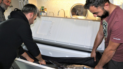 3 saat sürüklediler. Antalya'da balıkçıları şoke eden olay