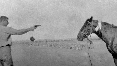 Atlar sakatlanınca neden vurulur?