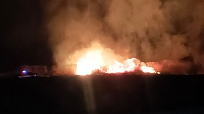 Muradiye'de sazlık yangını