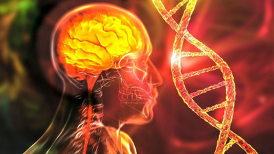 Alzheimer'la ilgili sevindiren gelişme