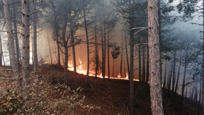 İzmir’de ormanlık alanda yangın