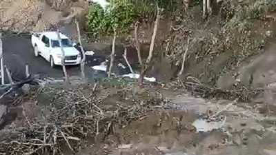 Kastamonu’da heyelan ağaçları yerinden sürükledi