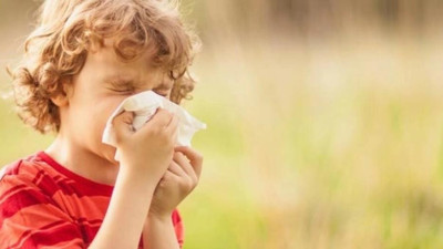 Küresel ısınmanın alerjik nezlelerin artışına şok etkisi