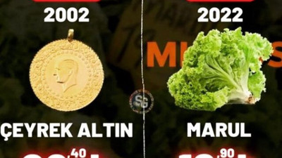 20 liraya 2002'de altın alınıyordu şimdi bir demet marul