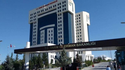 Son dakika: Tarım ve Orman Bakanlığı’nda 4 bakan yardımcısı görevden alındı
