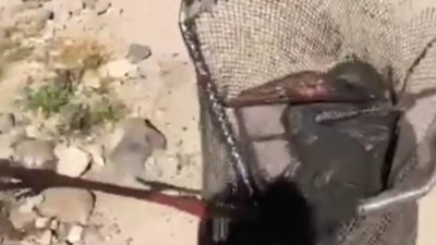 Çamura saplanan leyleği itfaiye ekipleri kurtardı