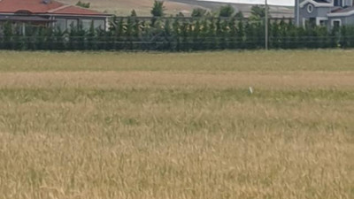 Ankara Gölbaşı'nda icradan satılık tarla
