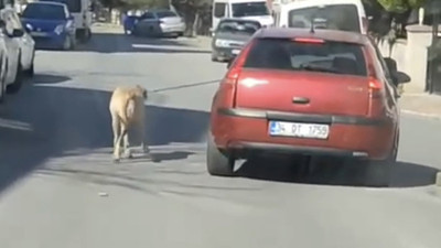 Vicdansızın yaptığına bak! Köpeği iple bağlayıp peşinde koşturdu…
