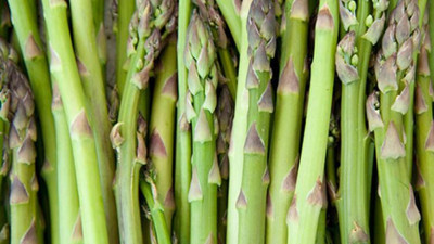 Bağırsak kanserine karşı zırh görevi görüyor!