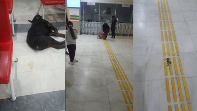 Kocaeli Üniversitesi Hastanesi'nde mide bulandıran görüntüler! Hijyen ara ki bulasın