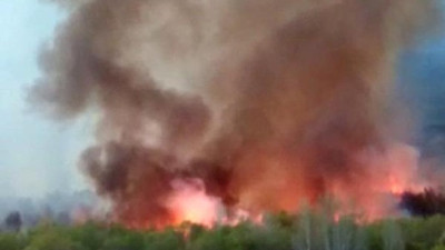Iğdır sınırındaki Ermeniler domuzları kaçırmak isterken ormanı yaktı